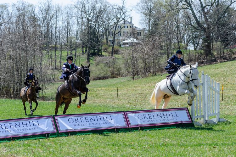 Loudoun Hunt Point to Point Races, photo credit Middleburg Photo