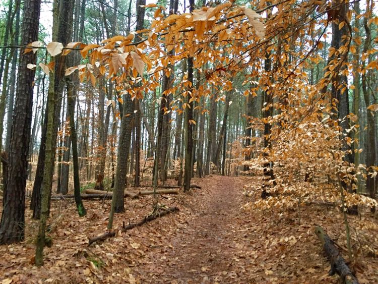 Occoquan Regional Park hike Virginia