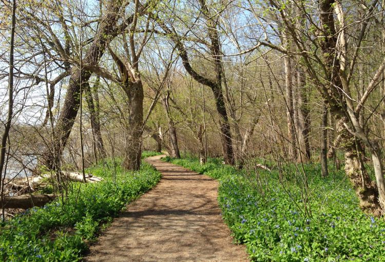 Celebrate Spring in Northern Virginia with Festivals and Fun Adventures Riverbend Park, photo credit: Charlotte Geary