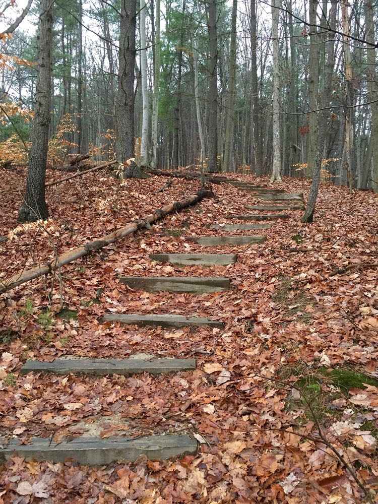 Trail steps Occoquan Regional Park Virginia