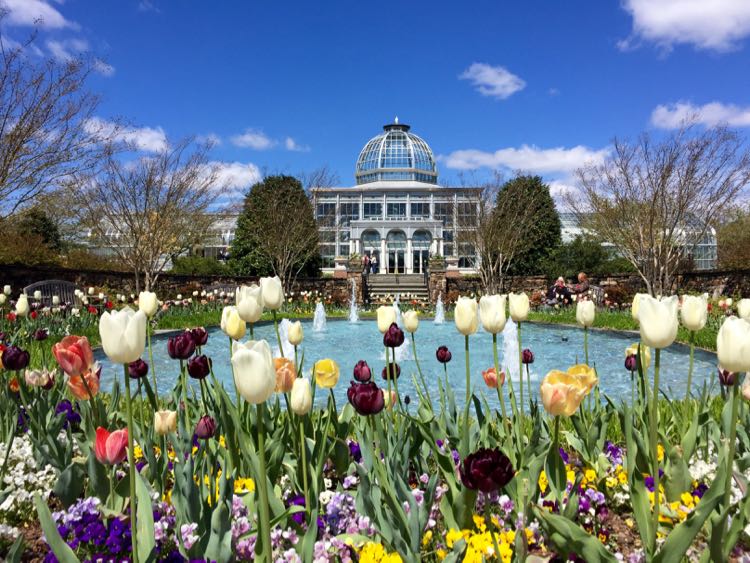 Lewis Ginter Botanical Garden tulips and Conservatory, Richmond Virginia