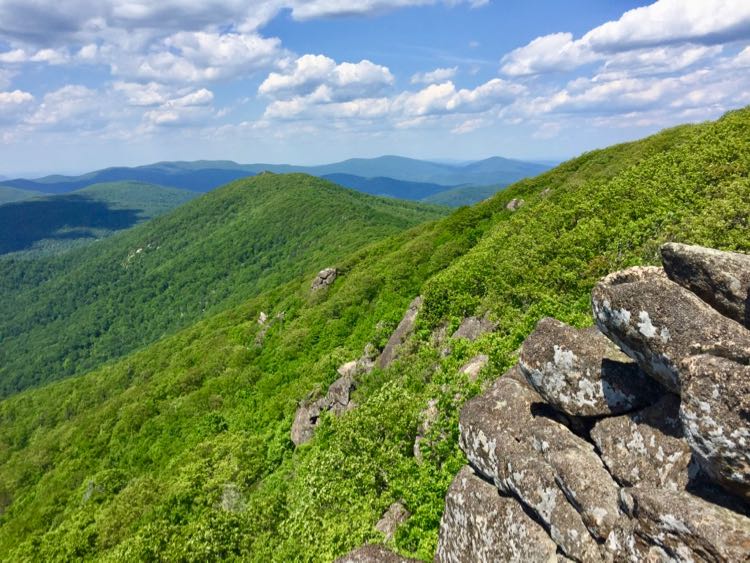 Summer View on a Marys Rock hike in Shenandoah NP