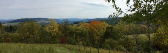 Explore Sky Meadows State Park in Northern Virginia Explore Sky Meadows State Park Virginia