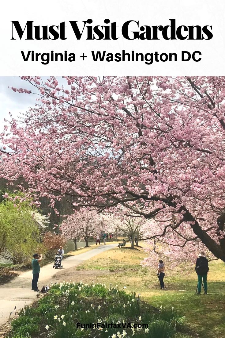 Gorgeous Gardens In Virginia and Washington DC - Fun in Fairfax VA
