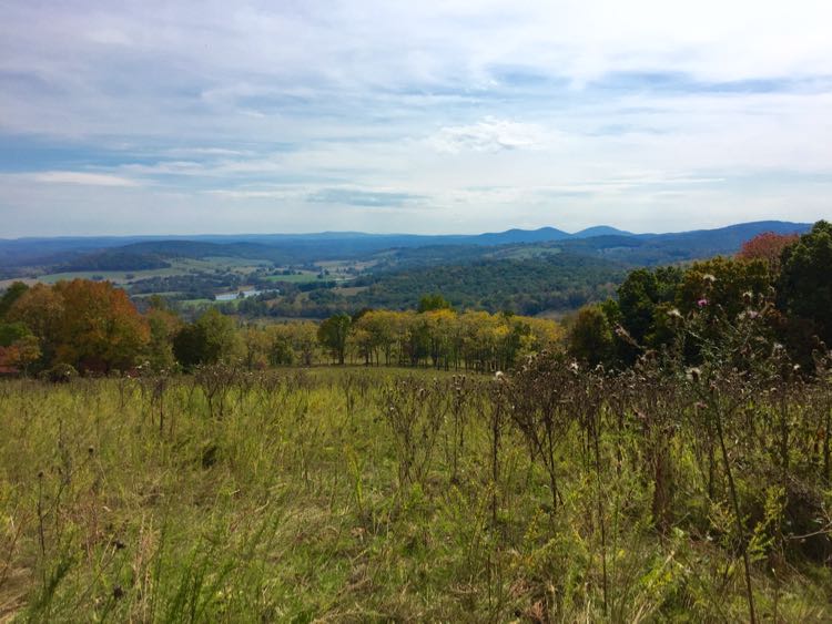 explore Sky Meadows State Park Virginia