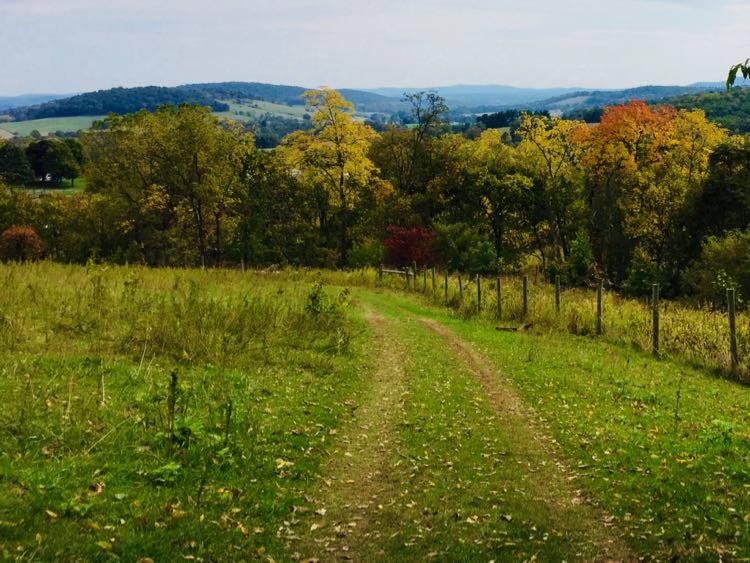 Fall Foliage at Sky Meadows State Park in Northern Virginia