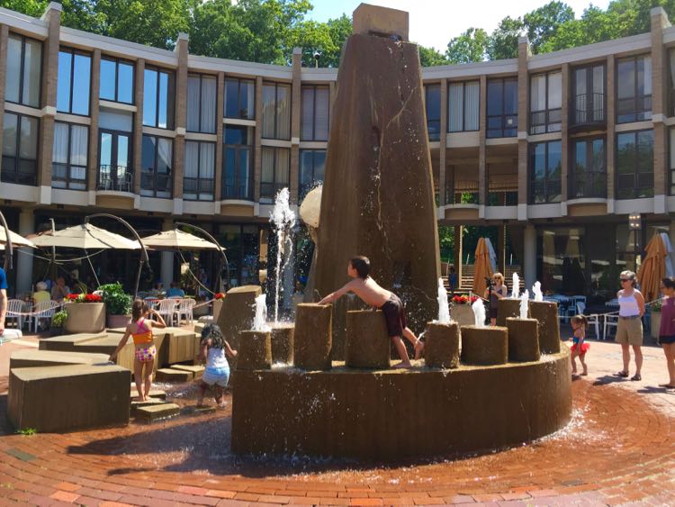 Fountain Lake Anne Plaza Reston