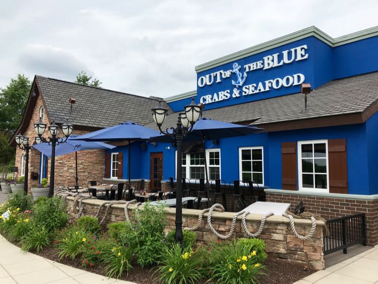 Patio dining at Out of the Blue in Gainesville Virginia