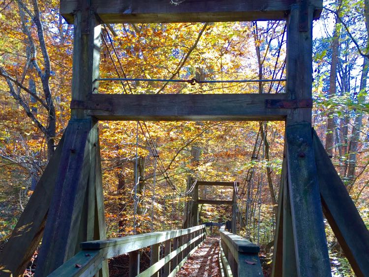 Bridge over Quantico Creek, hiking in Virginia's Prince William Forest Park