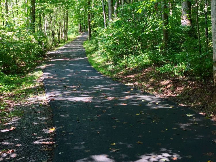 Shady Glade Stream hike Reston Virginia