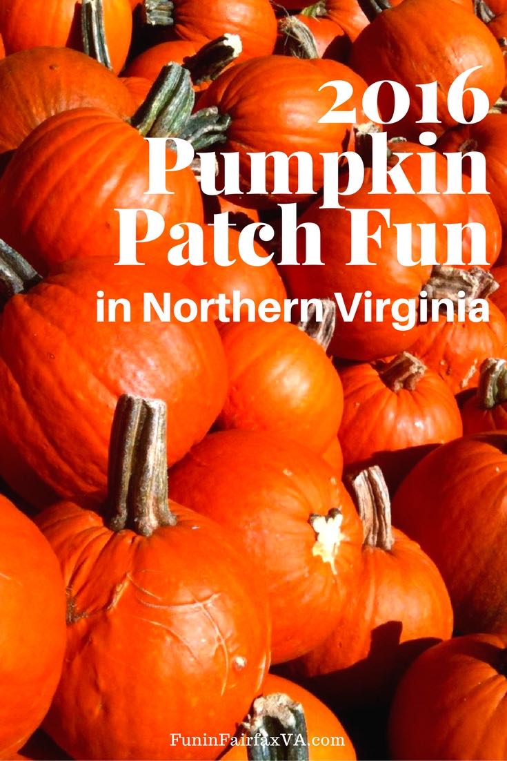 2016 Pumpkin Patch Fun in Northern Virginia Fun in Fairfax VA