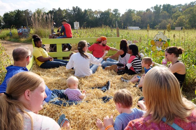 Cox Farms photo credit Charlotte Geary