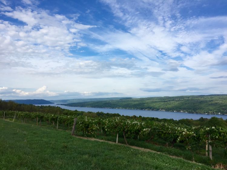 Keuka Lake Southern Finger Lakes getaway