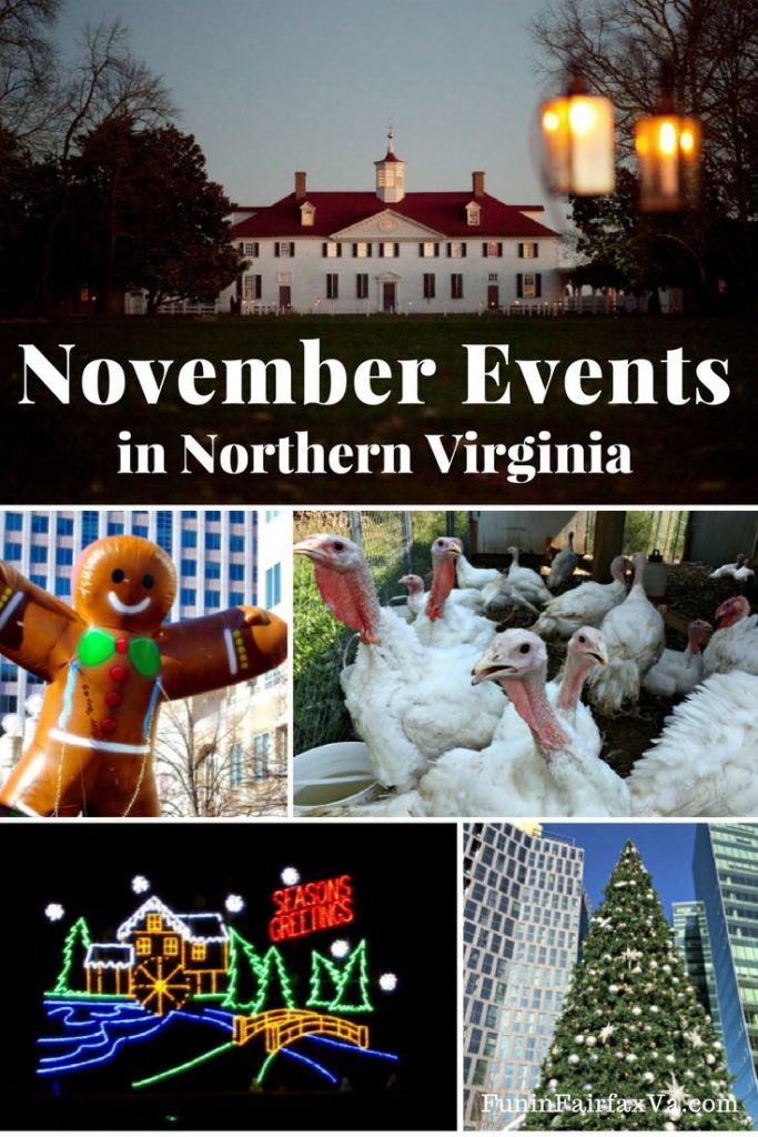 November Events in Northern Virginia and Holiday Festivals Near DC