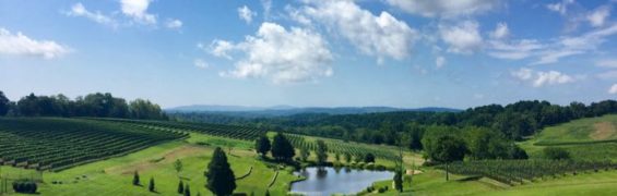 Sensational Northern Virginia Winery Views Close to Washington DC Stone Tower Winery view in Leesburg VA