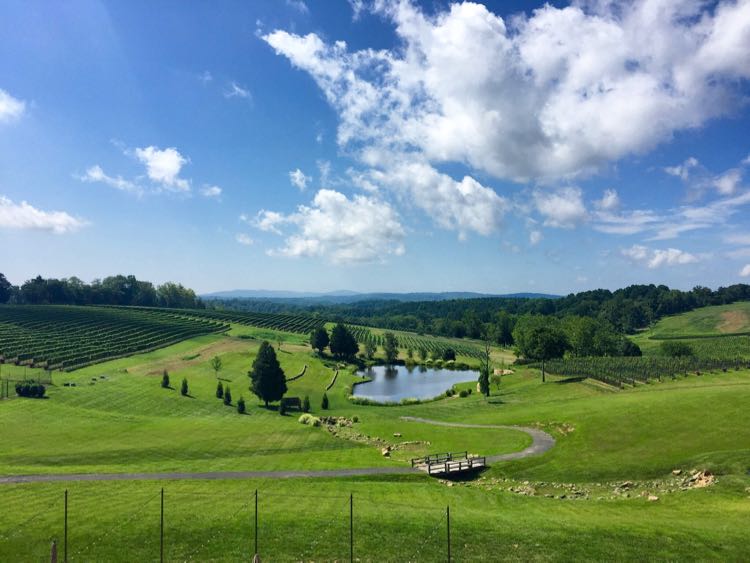 winery tour leesburg