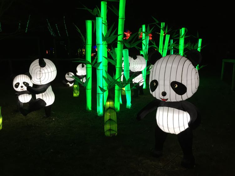 Chinese Lantern Festival pandas