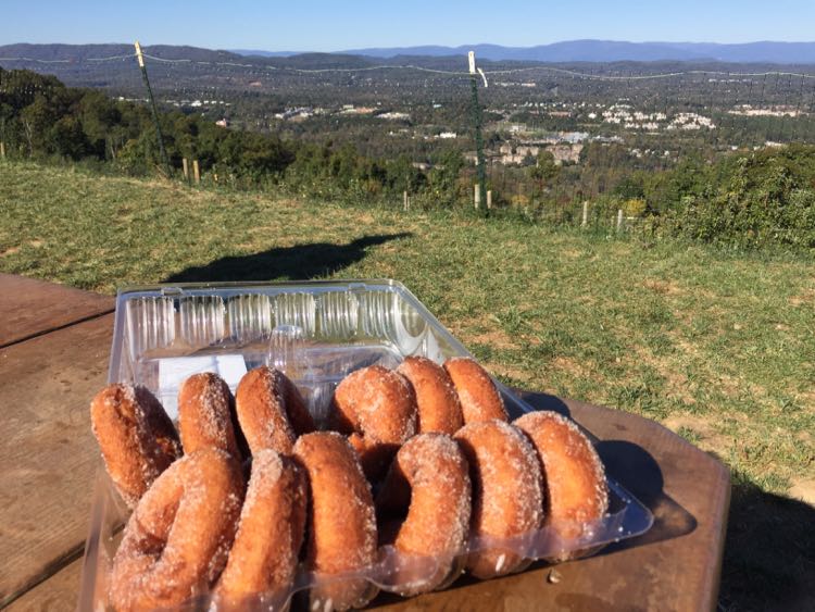 Cider donuts Carter Mountain Orchard Charlottesville Virginia