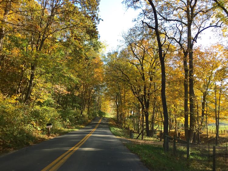 Scenic drive near Roanoke Virginia