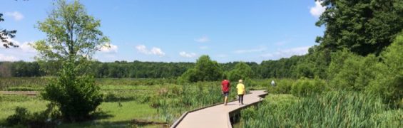 20 Must See Northern Virginia Hidden Gems Rich in Nature and History Huntley Meadows