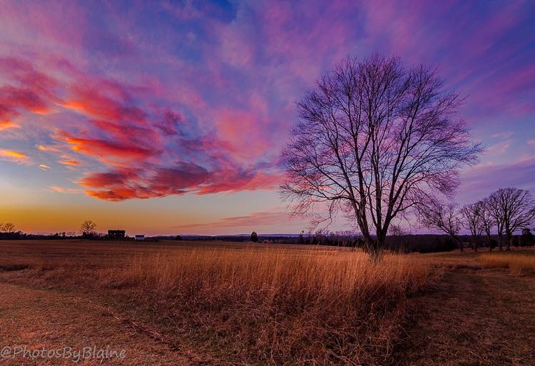 Manassas Battlefield photo by Blaine Blasdell