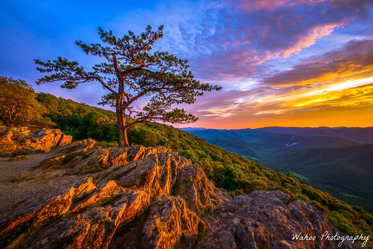 Raven's Roost photo by Wahoo Photography
