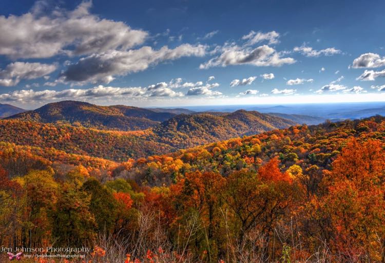 Shenandoah National Park Foliage photo by Jen Johnson