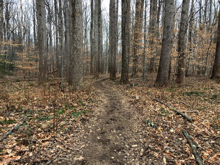 Bootlegger Trail Riverbend Park