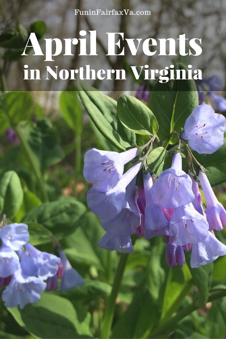 Virginia travel and events. April events in Northern Virginia for every age.