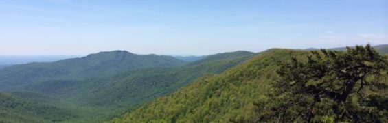 15 Fantastic Virginia Day Trips Near Washington DC Skyline Drive Spring Shenandoah Views