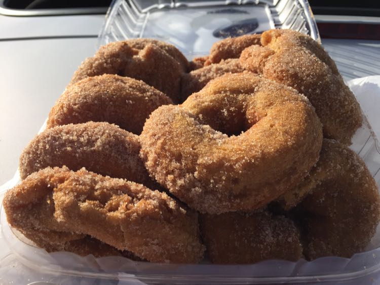 Shenandoah National Park Day Trip Planner Things to Do in the Central