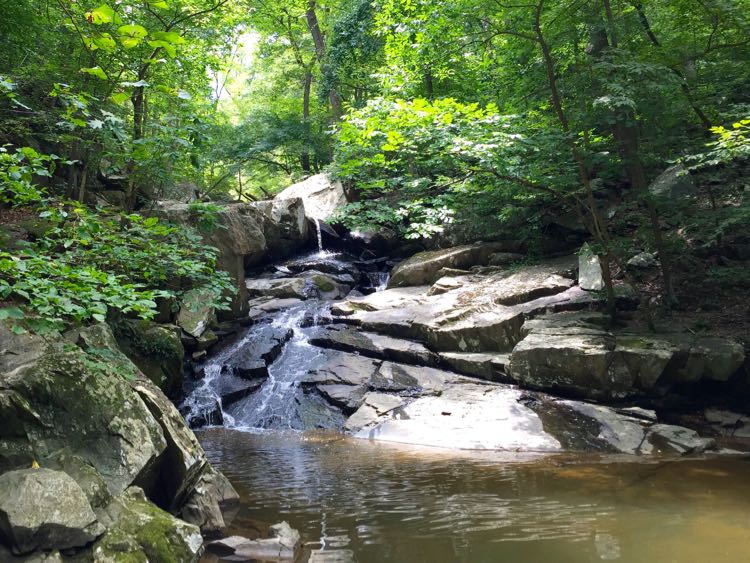 Dead Run waterfall hike and swimming hole in McLean Virginia