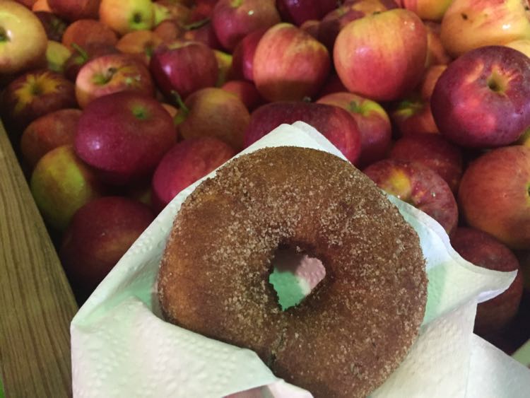 Enjoy a delicious apple cider donut at Miller-Marker Orchards and Farm Market in Winchester VA