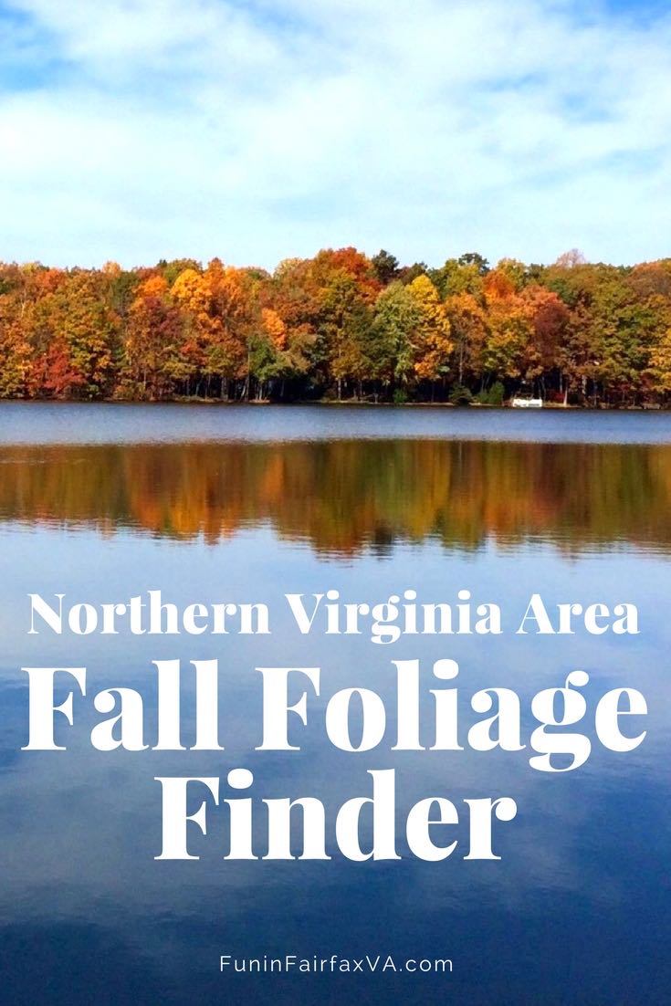Fall colors vacation deals