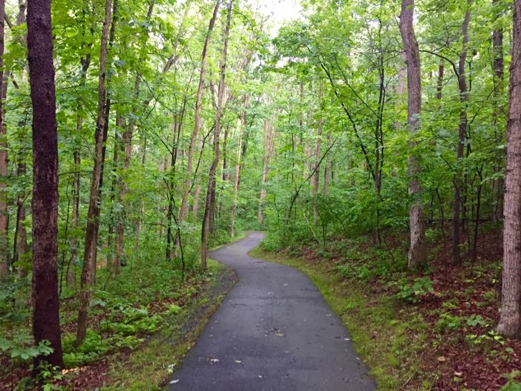 Summer path Reston VA