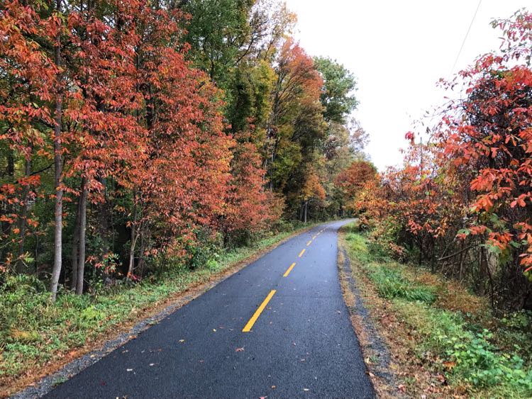 Locals Guide 10+ Best Things to Do in Reston Virginia