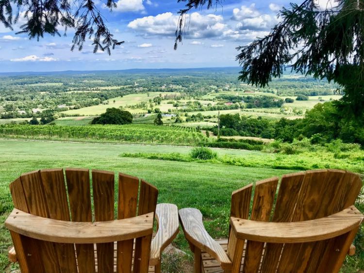 Summer view from Adirondack chairs at Dirt Farm in Northern VA