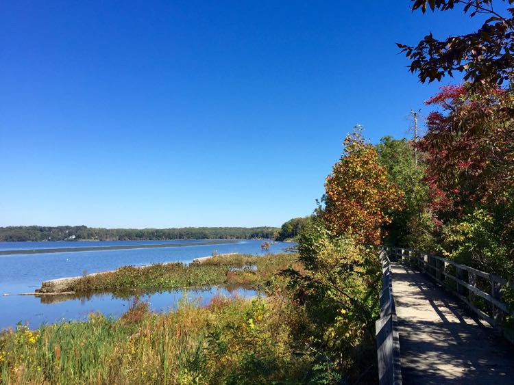 Fall foliage lines the Bay View Trail boardwalk at Mason Neck State Park in Northern Virginia