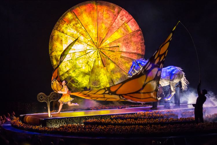 A Walking Dream Cirque du Soleil LUZIA in Tysons Virginia