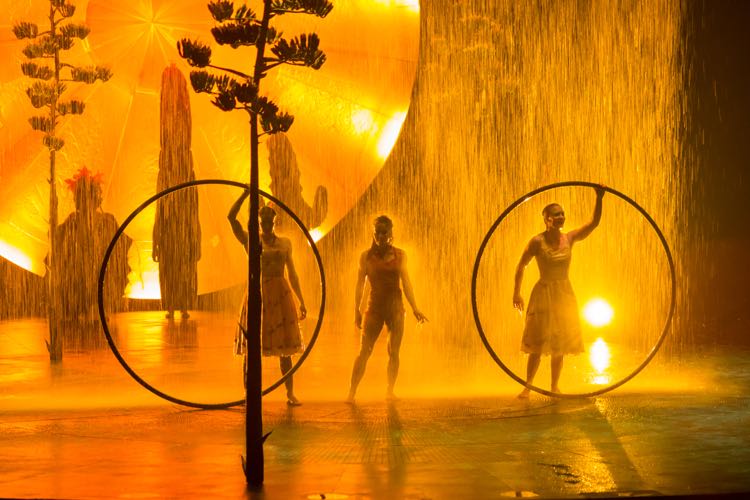 A Walking Dream Cirque du Soleil LUZIA in Tysons Virginia
