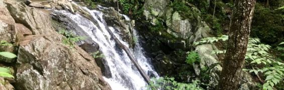 Rose River Loop Hike: Chasing Waterfalls in Shenandoah National Park Virginia Rose River Loop Hike Shenandoah National Park VA