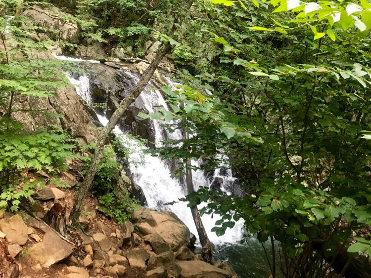 Rose River Loop Hike waterfalls, Shenandoah NP Virginia