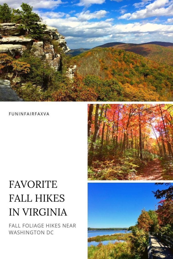 8 great Fall hikes in Northern Virginia (some with a Virginia winery visit), perfect for enjoying cooler, dryer weather and changing foliage.