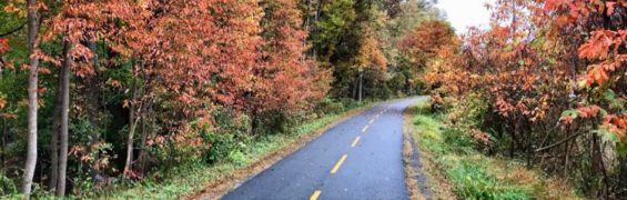 November 2018 Events in Northern Virginia Fall on Washington and Old Dominion Trail Reston