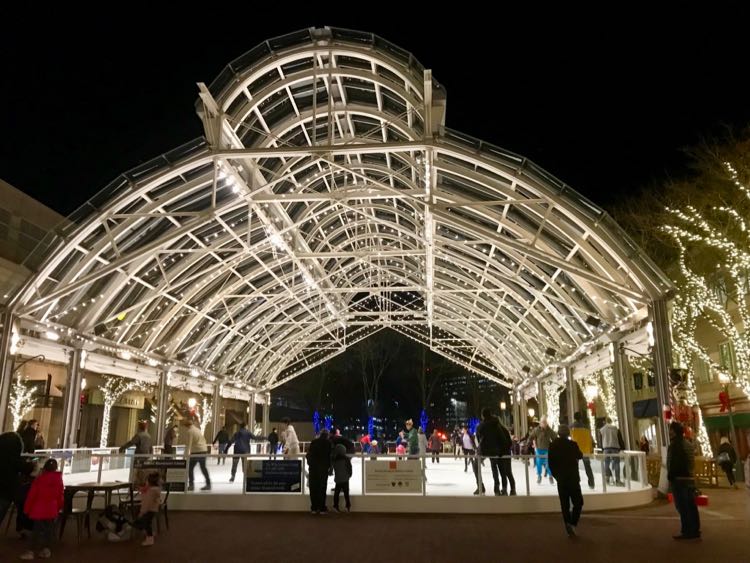 Reston Ice Skating Rink in Fairfax County Virginia