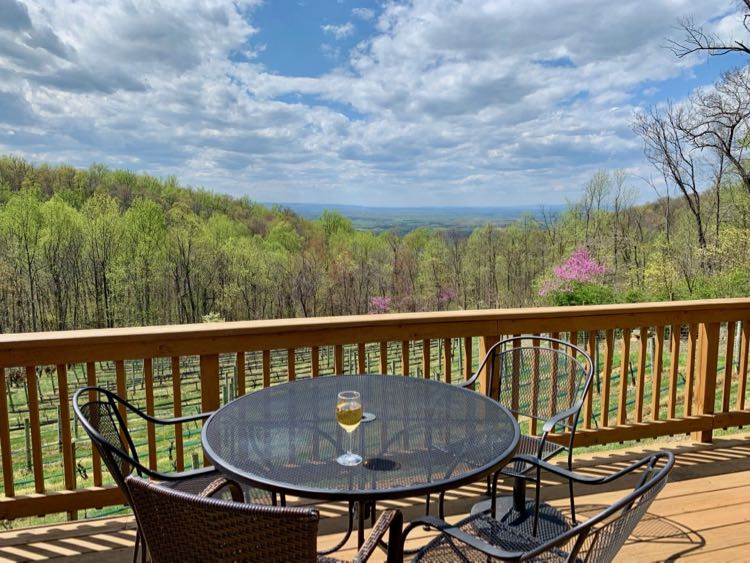 Winery with a view—Twin Oaks Tavern in Bluemont VA