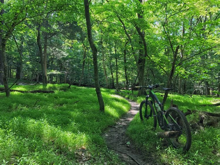 Fountainhead mountain bike trail best sale