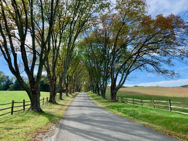 Road to James Monroe Highland in Charlottesville Virginia