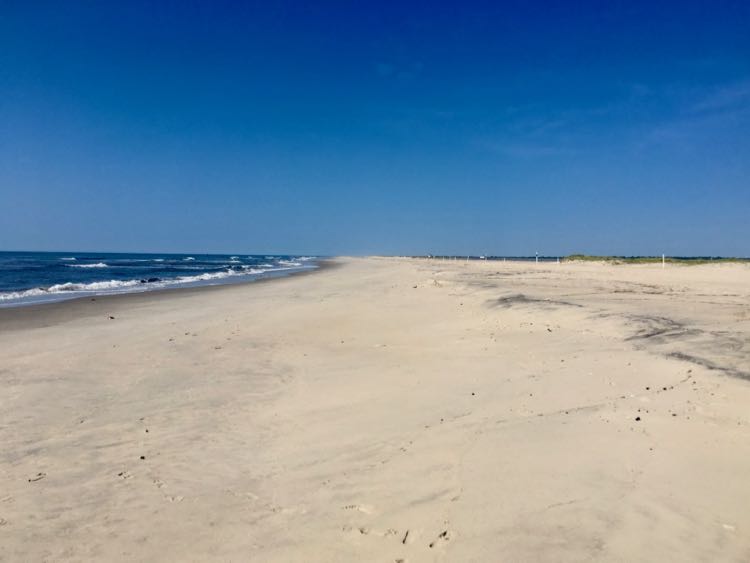 Assateague Beach in part of the Assateague Island National Seashore, accessed from Chincoteague NWR in Chincoteague VA