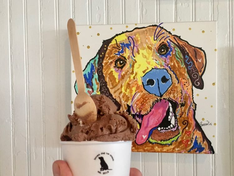 Enjoy a scoop or two at Brown Dog Ice Cream in Cape Charles VA